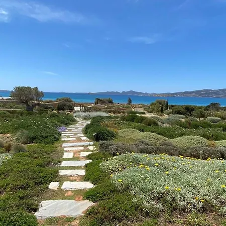 Aristea Villa *