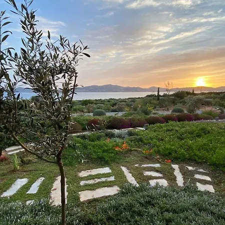 Aristea Aliki (Paros)