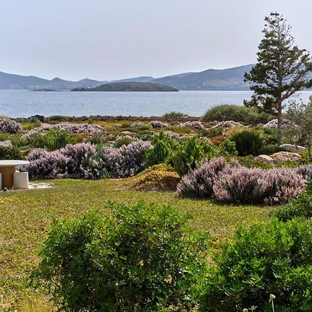 Villa Aristea *