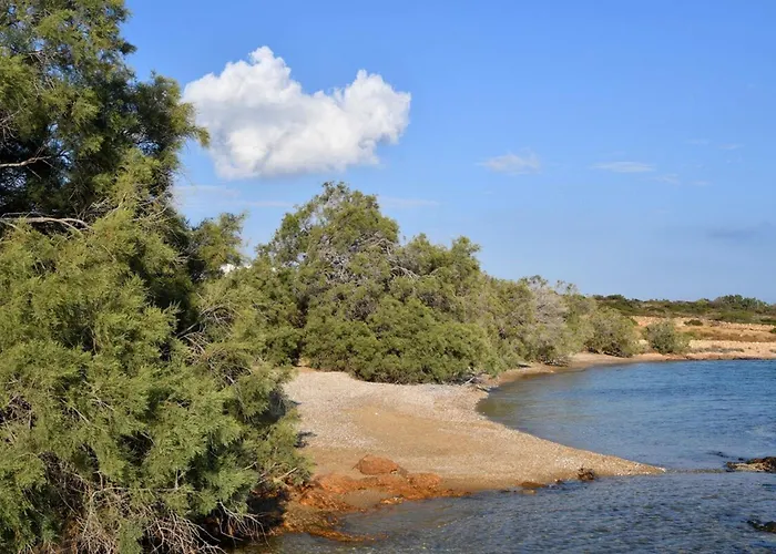 Villa Luxury Aristea On The Sea